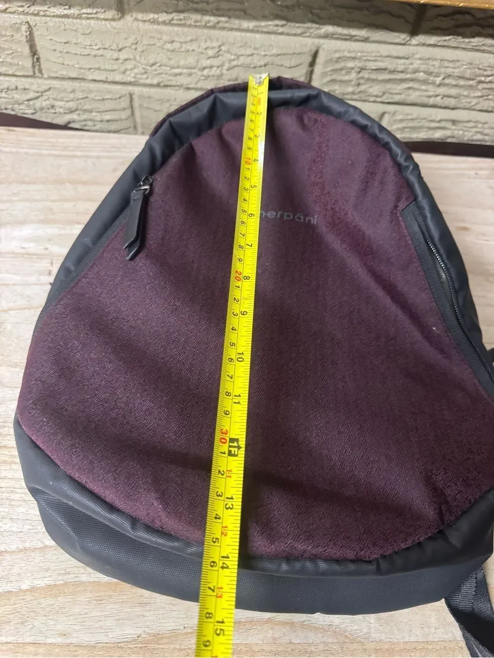 Sherpani anti theft travel backpack